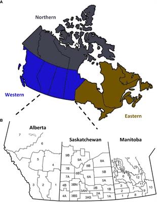 A survey of Fusarium species and ADON genotype on Canadian wheat grain